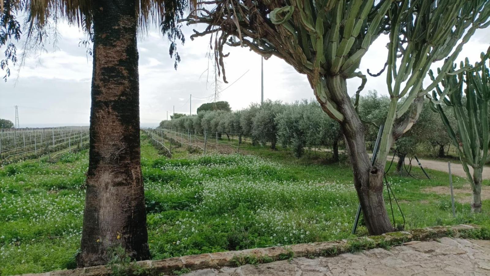 Casa Bouganville Villetta Tra Le Vigne E Il Mare Menfi Exterior foto