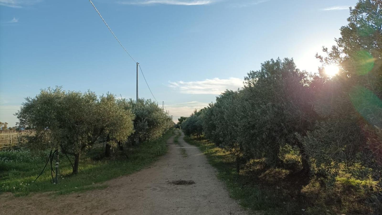 Casa Bouganville Villetta Tra Le Vigne E Il Mare Menfi Exterior foto